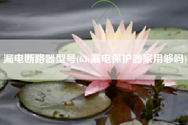 漏电断路器型号(63v漏电保护器家用够吗)