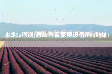 本地ip查询(怎么查看家里设备的ip地址)