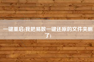 一键重启(我把易数一键还原的文件夹删了)