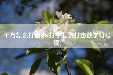 平方怎么打出来(打字怎么打出数学符号啊)
