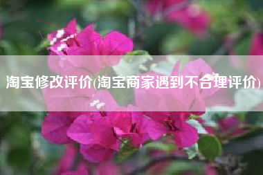 淘宝修改评价(淘宝商家遇到不合理评价)