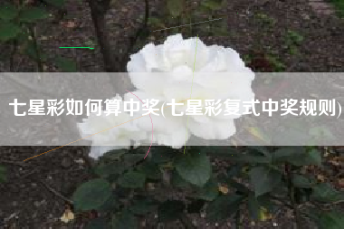 七星彩如何算中奖(七星彩复式中奖规则)