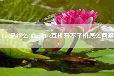 详细阅读:flex是什么(BeatsFlex耳机开不了机怎么回事) flex是什么(BeatsFlex耳机开不了机怎么回事)