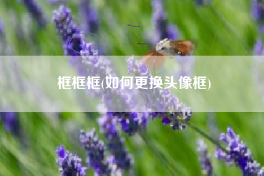 框框框(如何更换头像框)