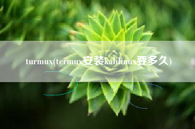 turmux(termux安装kalilinux要多久)