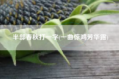 半部春秋打一字(一曲惊鸿芳华露)