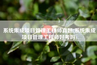 系统集成项目管理工程师真题(系统集成项目管理工程师好考吗)