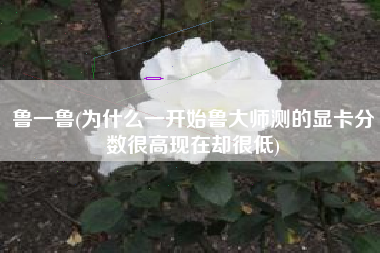 鲁一鲁(为什么一开始鲁大师测的显卡分数很高现在却很低)