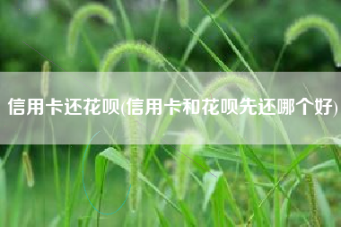信用卡还花呗(信用卡和花呗先还哪个好)