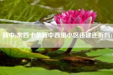 新中(东四十条新中西里小区违建还拆吗)
