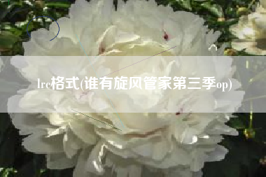 lrc格式(谁有旋风管家第三季op)