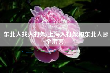 东北人找人打架(上海人打架和东北人哪个厉害)