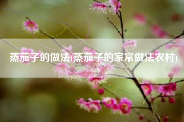 蒸茄子的做法(蒸茄子的家常做法农村)
