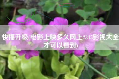快播升级(电影上映多久网上2345影视大全才可以看到)