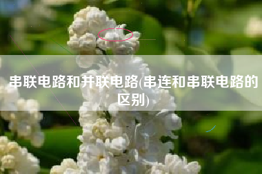 串联电路和并联电路(串连和串联电路的区别)
