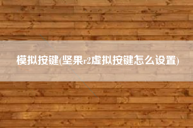 模拟按键(坚果r2虚拟按键怎么设置)