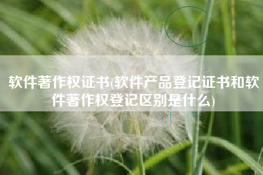 软件著作权证书(软件产品登记证书和软件著作权登记区别是什么)