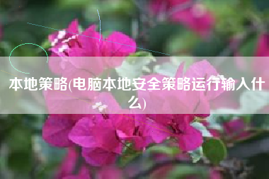 本地策略(电脑本地安全策略运行输入什么)
