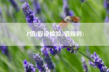 P值(假设检验p值规则)