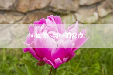 lnx图像(x与lnx的交点)