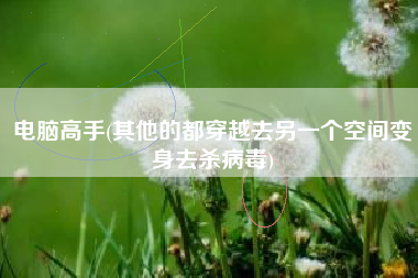 电脑高手(其他的都穿越去另一个空间变身去杀病毒)
