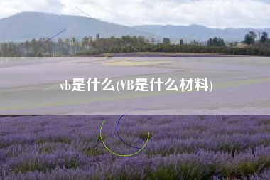 vb是什么(VB是什么材料)