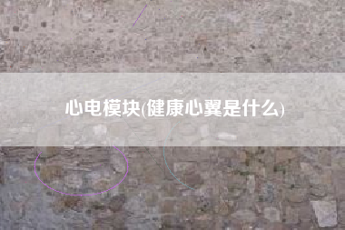 心电模块(健康心翼是什么)