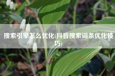 搜索引擎怎么优化(抖音搜索词条优化技巧)