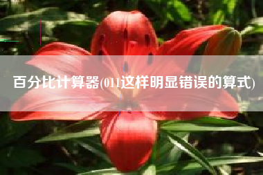 百分比计算器(011这样明显错误的算式)