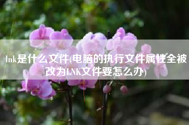 lnk是什么文件(电脑的执行文件属性全被改为LNK文件要怎么办)