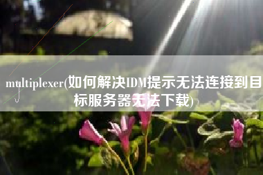 multiplexer(如何解决IDM提示无法连接到目标服务器无法下载)