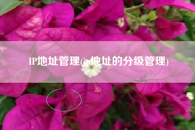 IP地址管理(ip地址的分级管理)