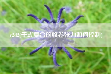 r2d2(干式复合的收卷张力如何控制)