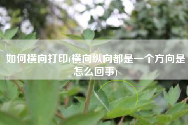 如何横向打印(横向纵向都是一个方向是怎么回事)