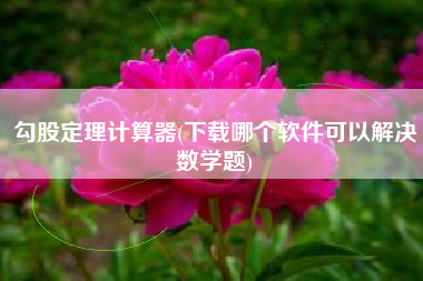勾股定理计算器(下载哪个软件可以解决数学题)