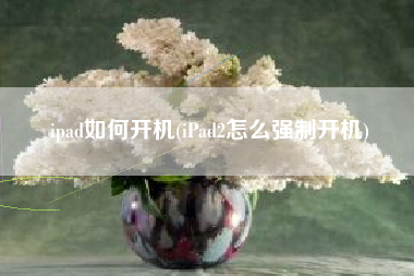 ipad如何开机(iPad2怎么强制开机)