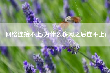 网络连接不上(为什么移网之后连不上)