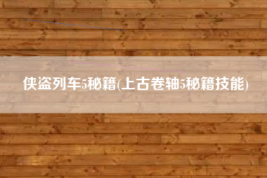 侠盗列车5秘籍(上古卷轴5秘籍技能)