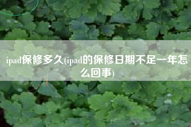 ipad保修多久(ipad的保修日期不足一年怎么回事)