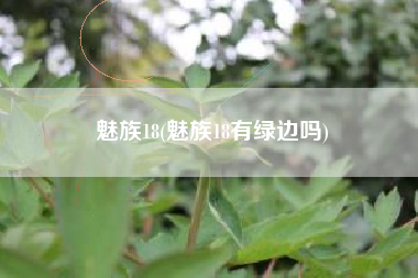 魅族18(魅族18有绿边吗)