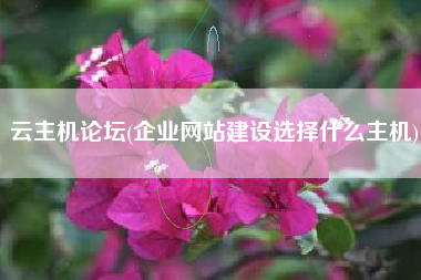 云主机论坛(企业网站建设选择什么主机)