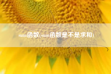 sum函数(sum函数是不是求和)