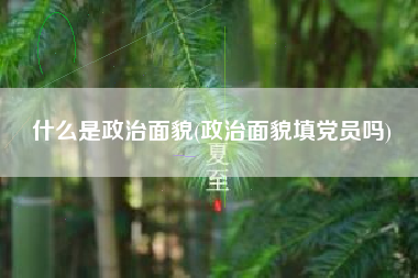 详细阅读:什么是政治面貌(政治面貌填党员吗) 什么是政治面貌(政治面貌填党员吗)