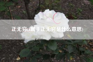 正无穷(x属于正无穷是什么意思)