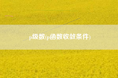 p级数(p函数收敛条件)