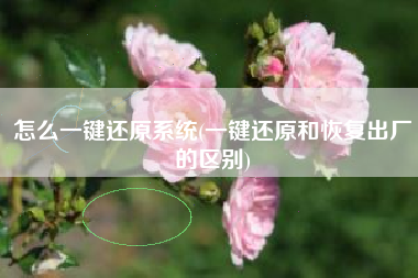 怎么一键还原系统(一键还原和恢复出厂的区别)