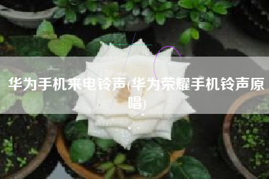 华为手机来电铃声(华为荣耀手机铃声原唱)
