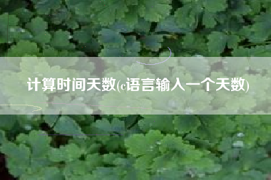计算时间天数(c语言输入一个天数)