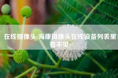 在线摄像头(海康摄像头在线设备列表里看不见)