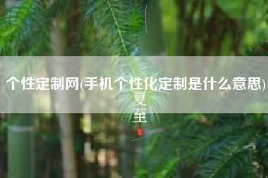 个性定制网(手机个性化定制是什么意思)